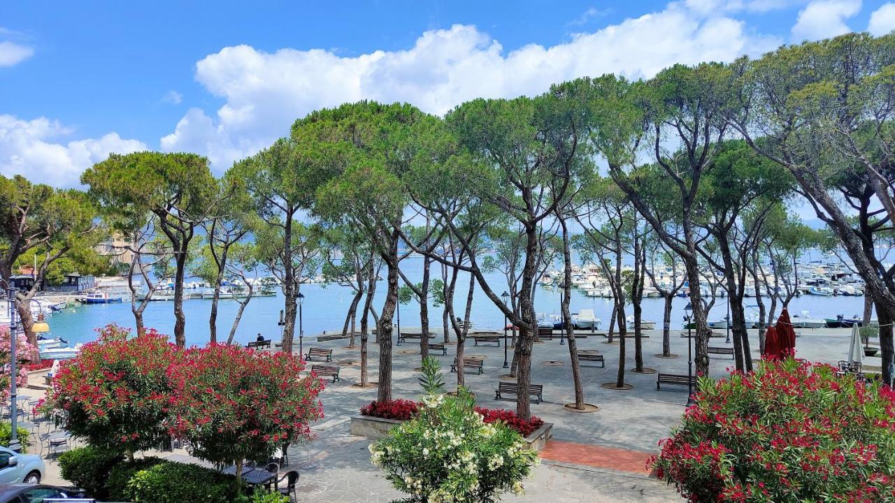 Un Balcone In Pineta Apartment เฟสซาโน ภายนอก รูปภาพ